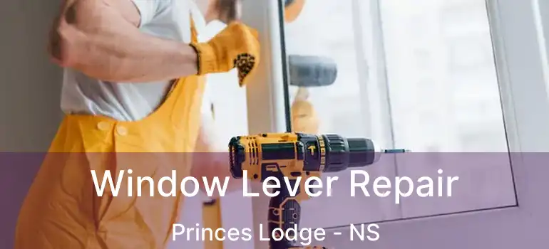  Window Lever Repair Princes Lodge - NS