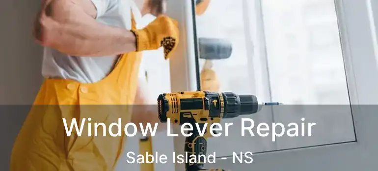  Window Lever Repair Sable Island - NS