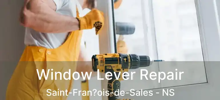  Window Lever Repair Saint-Fran?ois-de-Sales - NS