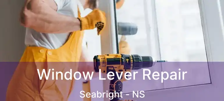  Window Lever Repair Seabright - NS