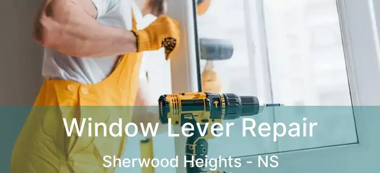  Window Lever Repair Sherwood Heights - NS