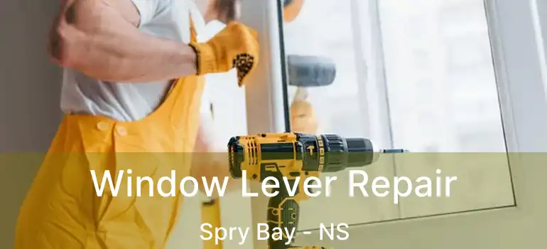  Window Lever Repair Spry Bay - NS