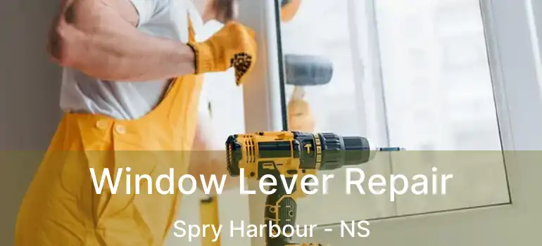  Window Lever Repair Spry Harbour - NS