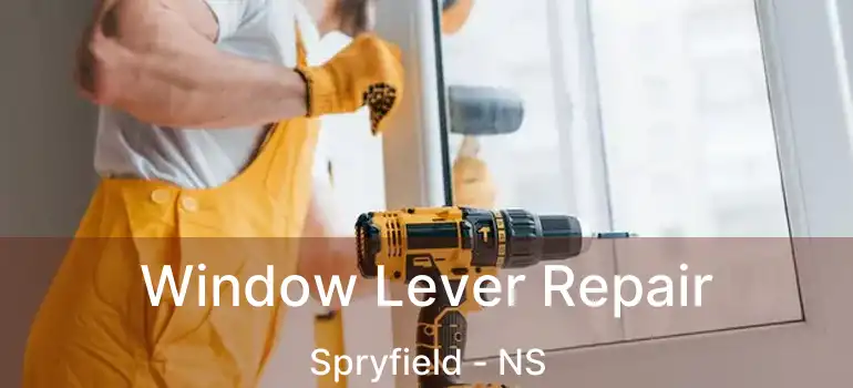  Window Lever Repair Spryfield - NS