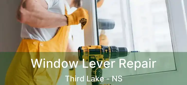  Window Lever Repair Third Lake - NS