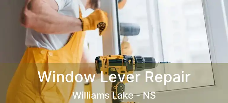  Window Lever Repair Williams Lake - NS