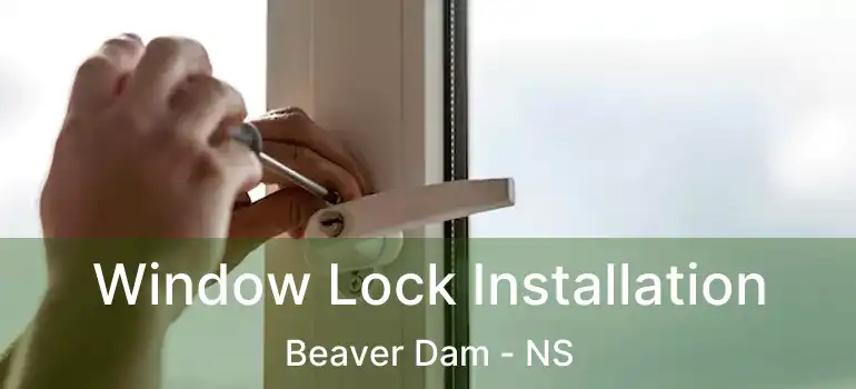  Window Lock Installation Beaver Dam - NS