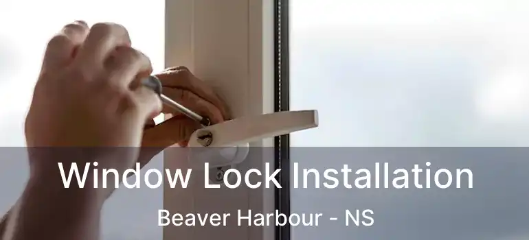  Window Lock Installation Beaver Harbour - NS