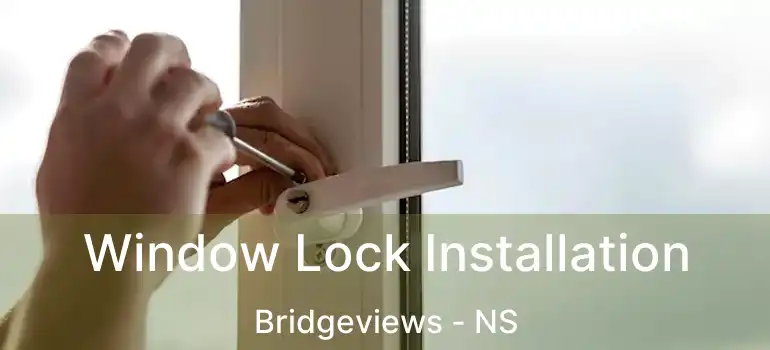  Window Lock Installation Bridgeviews - NS