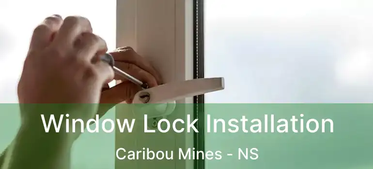  Window Lock Installation Caribou Mines - NS