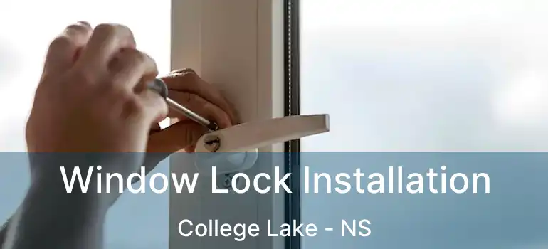  Window Lock Installation College Lake - NS