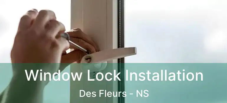  Window Lock Installation Des Fleurs - NS