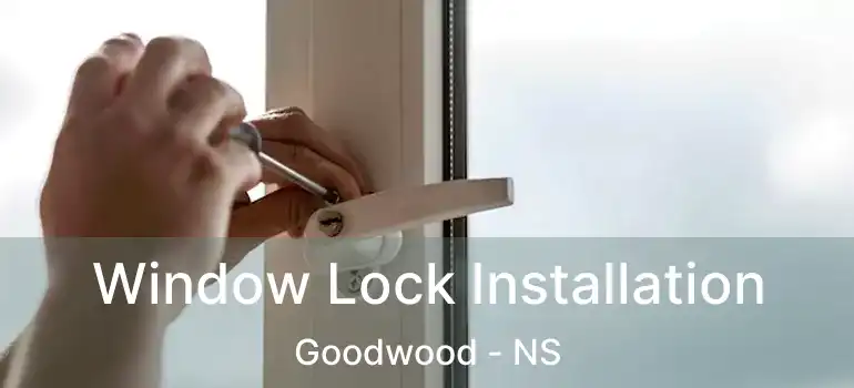  Window Lock Installation Goodwood - NS