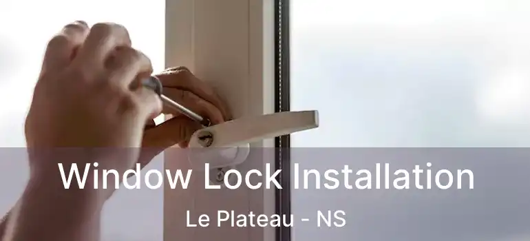  Window Lock Installation Le Plateau - NS