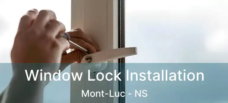  Window Lock Installation Mont-Luc - NS