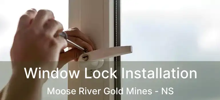  Window Lock Installation Moose River Gold Mines - NS