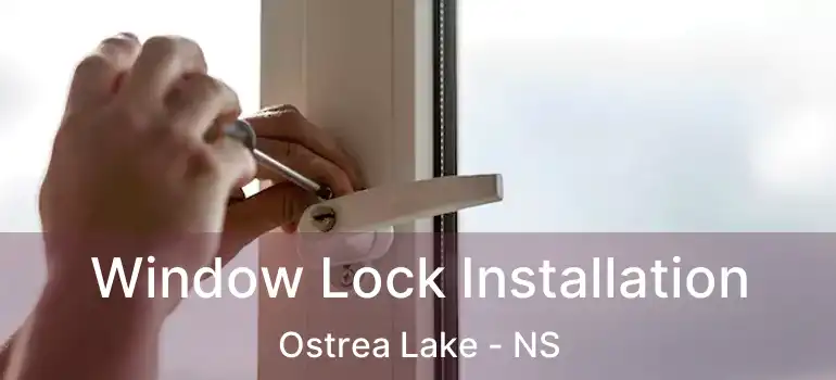  Window Lock Installation Ostrea Lake - NS