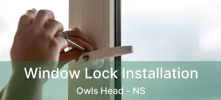  Window Lock Installation Owls Head - NS