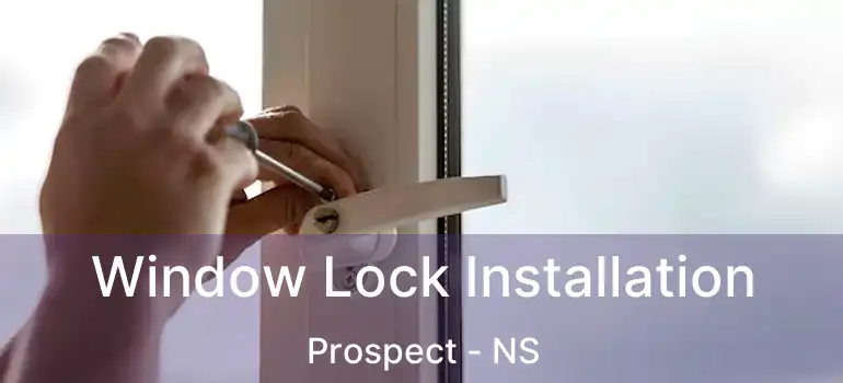  Window Lock Installation Prospect - NS