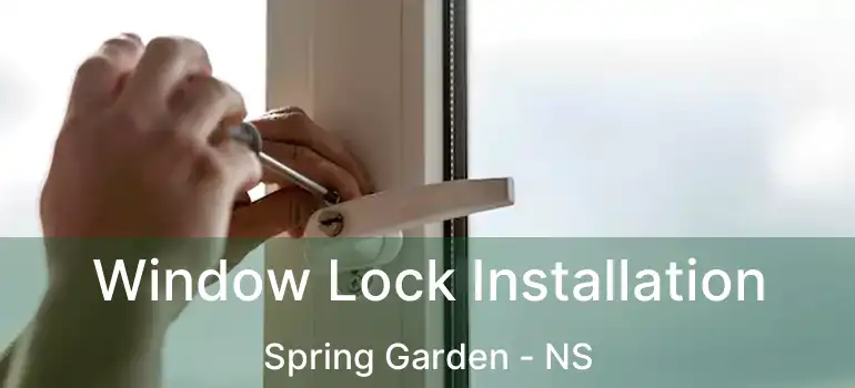  Window Lock Installation Spring Garden - NS