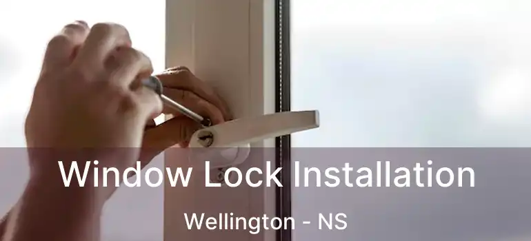  Window Lock Installation Wellington - NS