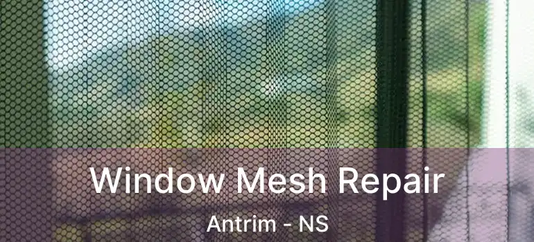  Window Mesh Repair Antrim - NS