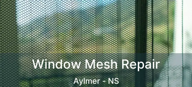  Window Mesh Repair Aylmer - NS