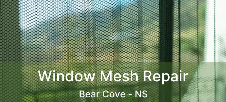  Window Mesh Repair Bear Cove - NS