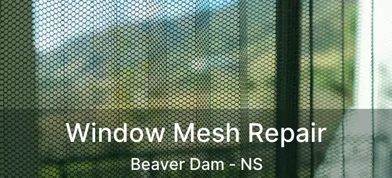  Window Mesh Repair Beaver Dam - NS