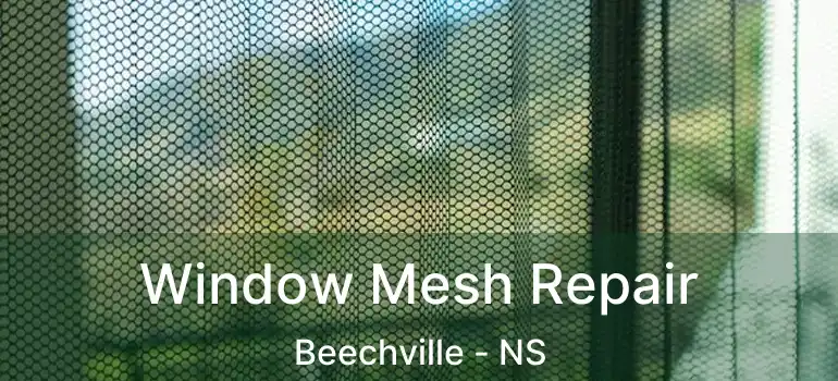  Window Mesh Repair Beechville - NS