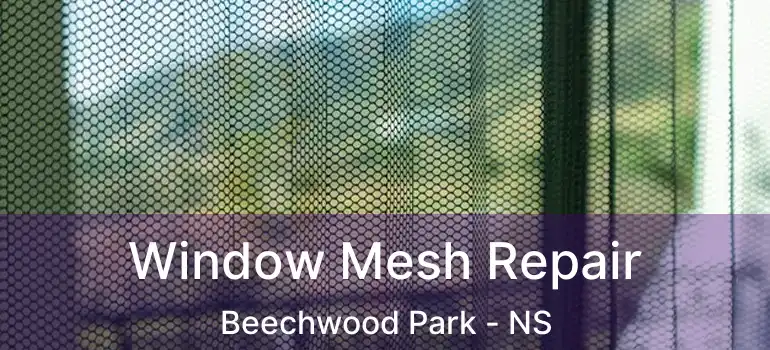  Window Mesh Repair Beechwood Park - NS