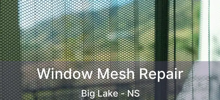  Window Mesh Repair Big Lake - NS