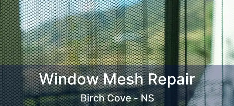  Window Mesh Repair Birch Cove - NS