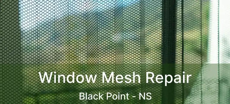  Window Mesh Repair Black Point - NS