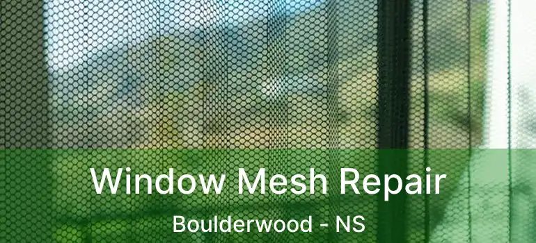  Window Mesh Repair Boulderwood - NS