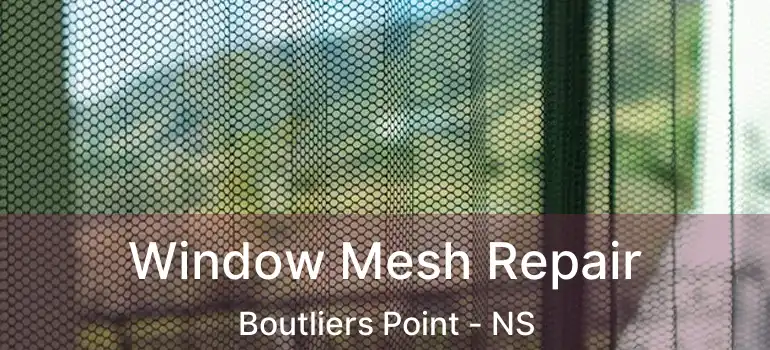  Window Mesh Repair Boutliers Point - NS