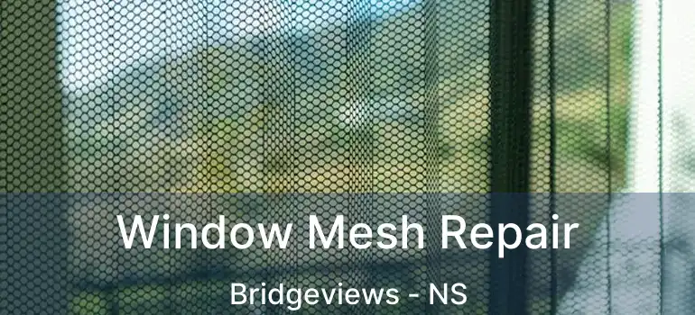  Window Mesh Repair Bridgeviews - NS