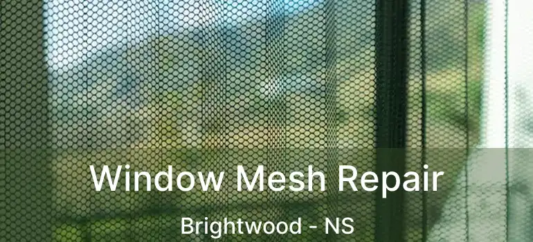  Window Mesh Repair Brightwood - NS