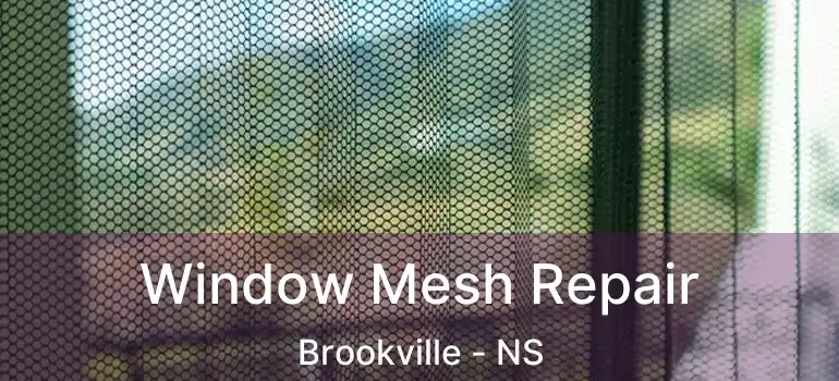  Window Mesh Repair Brookville - NS