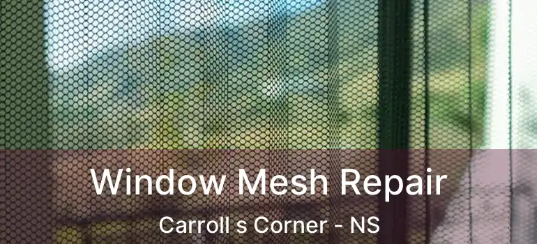  Window Mesh Repair Carroll s Corner - NS