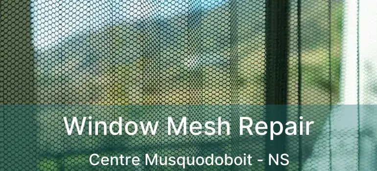  Window Mesh Repair Centre Musquodoboit - NS