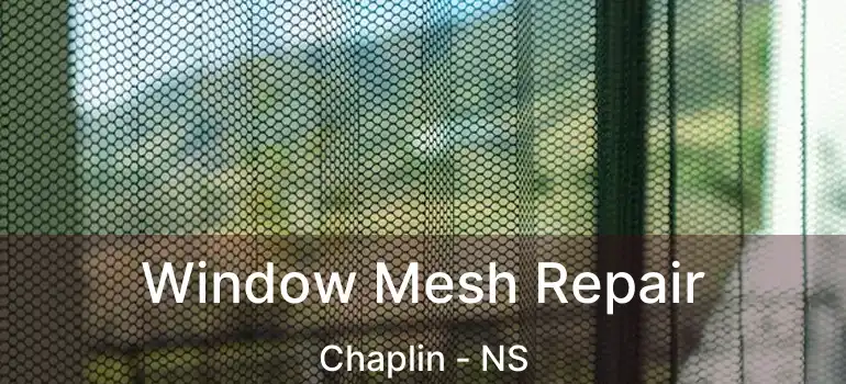  Window Mesh Repair Chaplin - NS