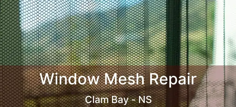  Window Mesh Repair Clam Bay - NS