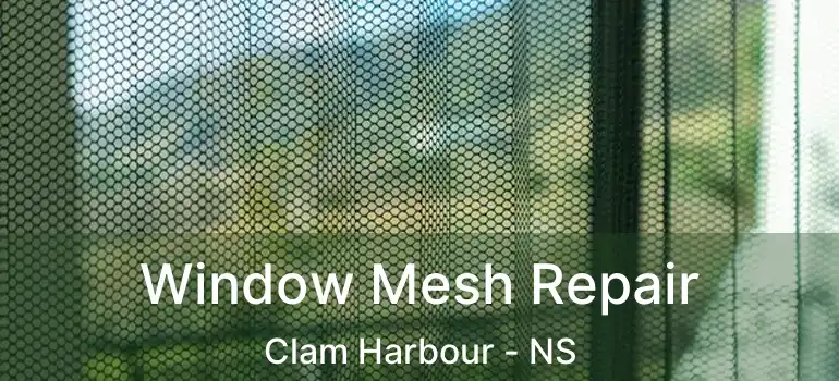  Window Mesh Repair Clam Harbour - NS