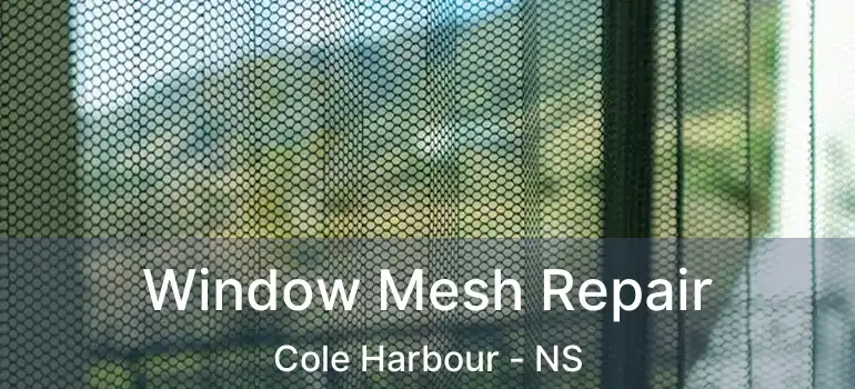  Window Mesh Repair Cole Harbour - NS