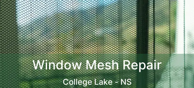  Window Mesh Repair College Lake - NS