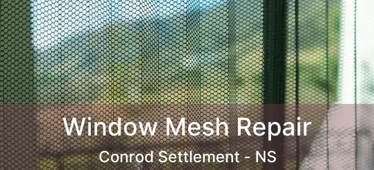  Window Mesh Repair Conrod Settlement - NS