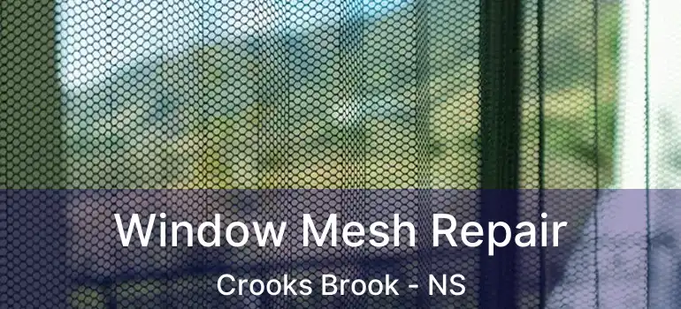  Window Mesh Repair Crooks Brook - NS