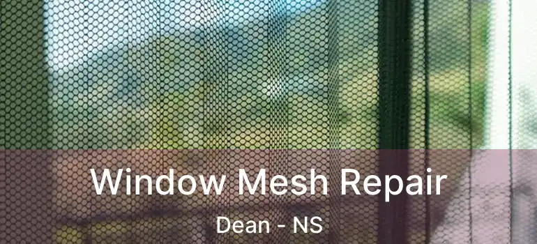  Window Mesh Repair Dean - NS