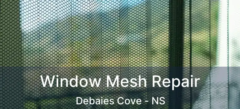  Window Mesh Repair Debaies Cove - NS